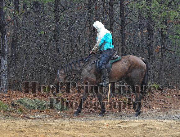 Rabbit(3-29-14)0423