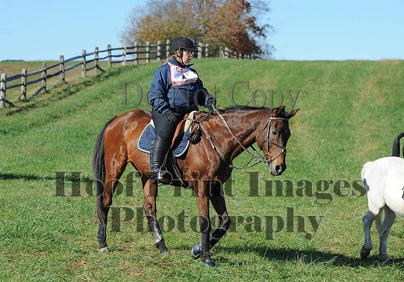 Cheshire(10-19-14)0416