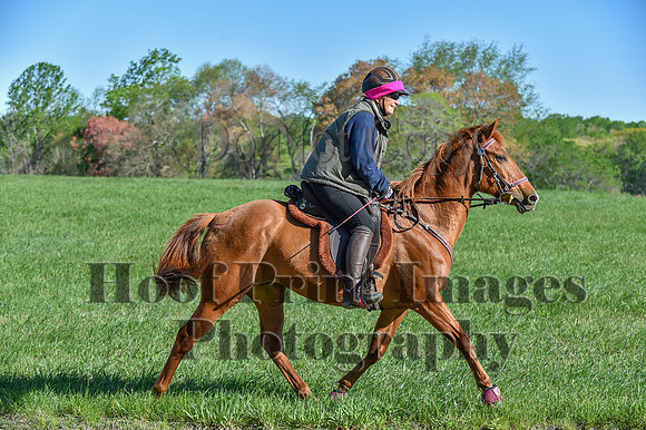 ChesapeakeSpring(4-27-25)0458