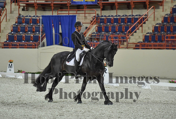 CWdressageI(8-20-16)1647