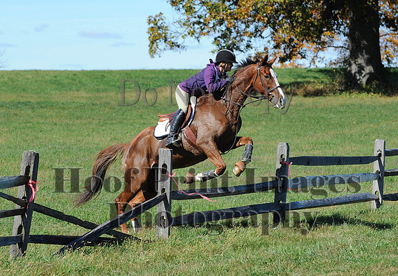 Cheshire(10-19-14)0031