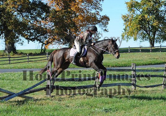 Cheshire(10-19-14)0439