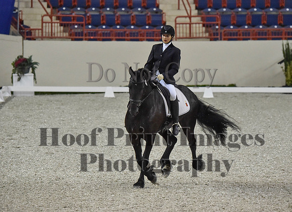 CWdressageI(8-20-16)0082