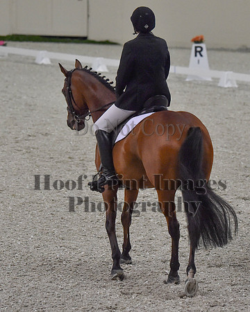 CWdressageII(8-21-16)0998