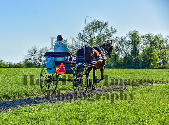 ChesapeakeSpring(4-27-25)0051