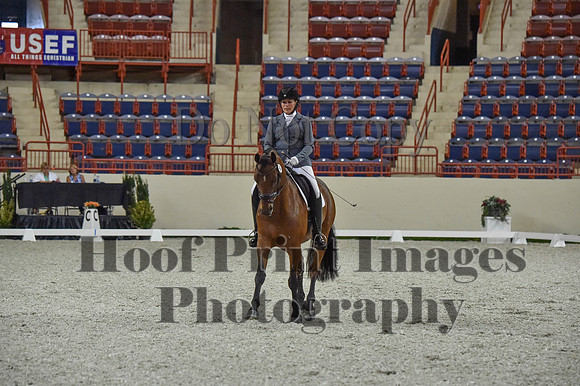 CWdressageI(8-20-16)0988