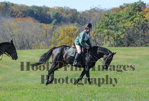 Cheshire(10-19-14)0058