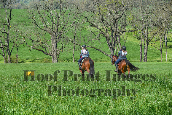 CheshireSpringPC1(4-28-24)0068