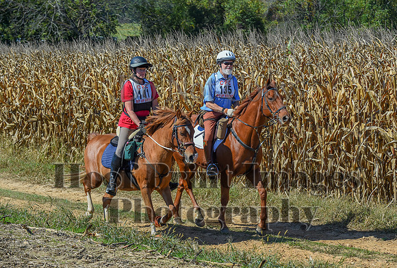 CheshirePonyClubPC(10-6-24)0640