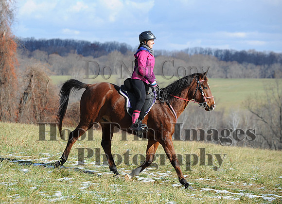 FairHill(11-28-14)0019