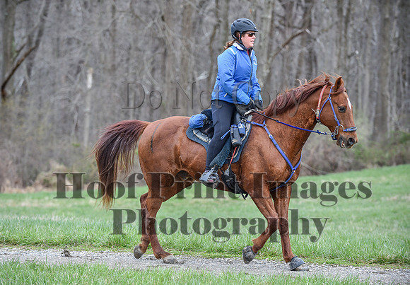 ChesapeakeSpring(4-10-22)0270