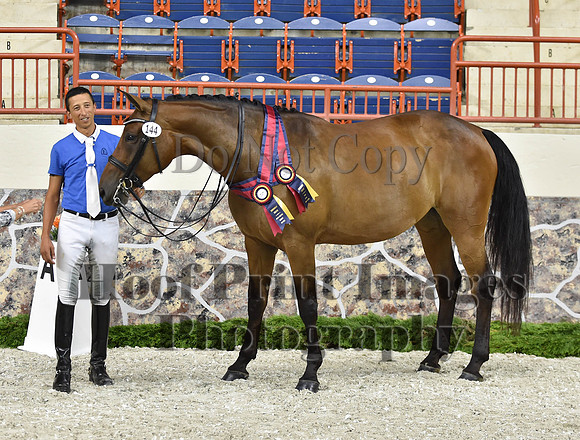 CWdressageI(8-20-16)1705