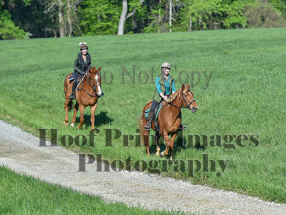 ChesapeakeSpring(4-27-25)0242