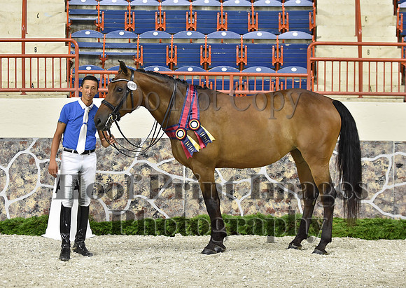 CWdressageI(8-20-16)1688