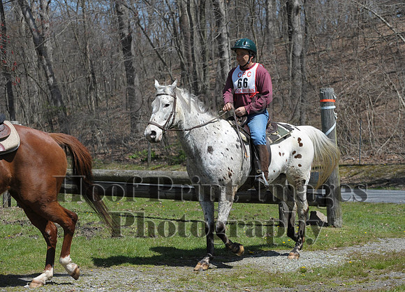 CheshirePC(4-16-16)0352