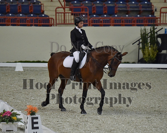 CWdressageII(8-21-16)1613