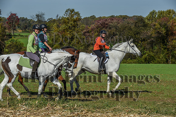 CheshirePC(10-18-20)0581