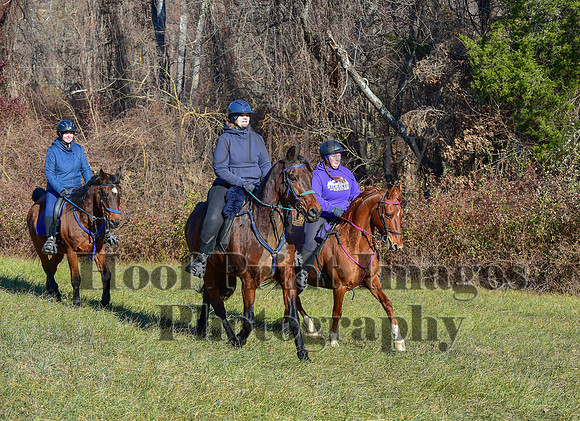 FairHillFallPC(11-30-24)0276