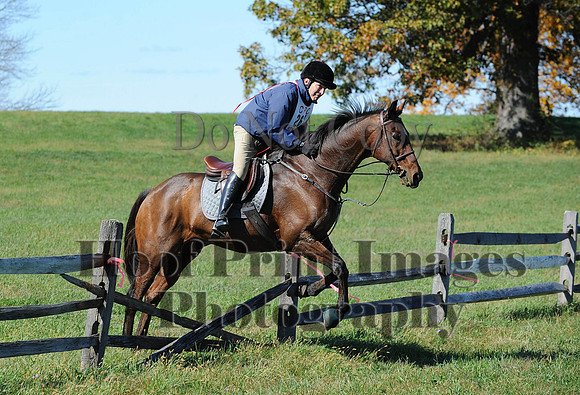 Cheshire(10-19-14)0124