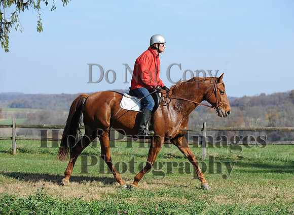 AndrewsBr(11-9-14)0040