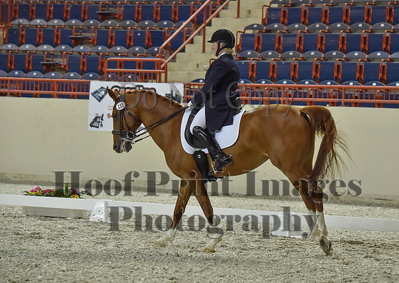CWdressageI(8-20-16)1333