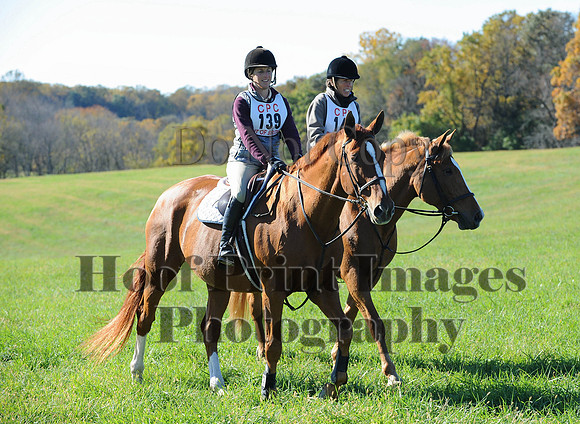 Cheshire(10-19-14)0461