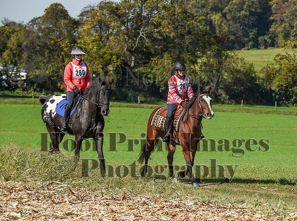 CheshirePC(10-18-20)0337
