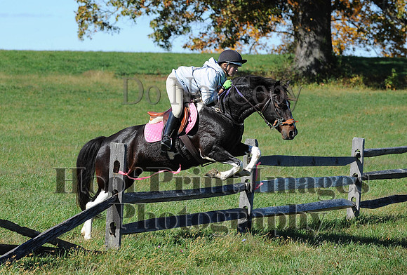 Cheshire(10-19-14)0120