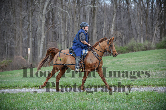 ChesapeakeSpring(4-10-22)0199