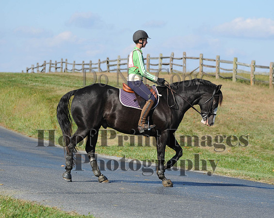 Cheshire(10-20-13)0731