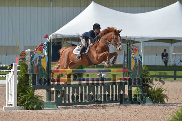 BRSa(5-17-14)HChAdJ0061