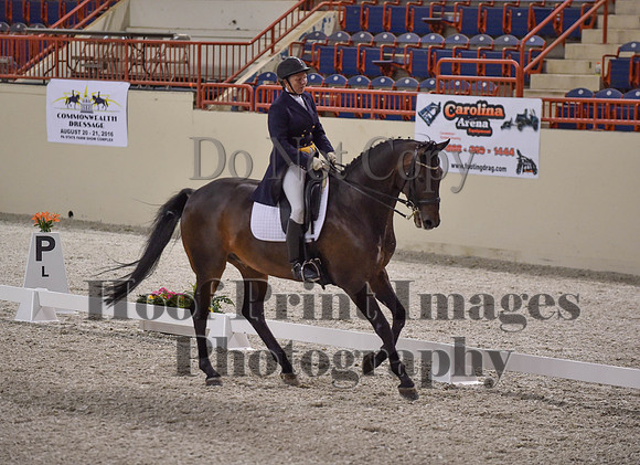 CWdressageI(8-20-16)1622