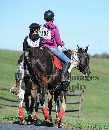 Cheshire(10-19-14)0054