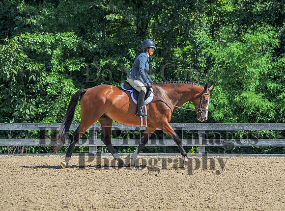 MidSummerStrollerFri(7-19-24)0156