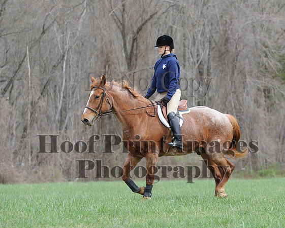 FairhillPC(4-18-14)0087