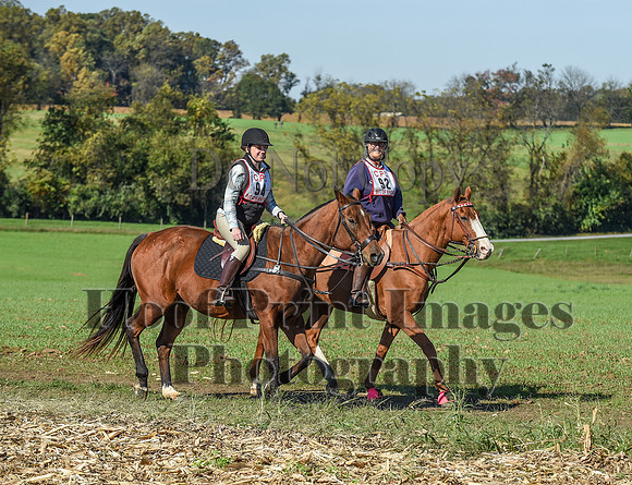 CheshirePC(10-18-20)0438