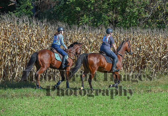 CheshirePonyClubPC(10-6-24)0117