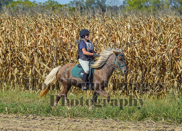 CheshirePonyClubPC(10-6-24)0547
