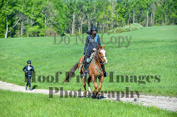 ChesapeakeSpring(4-27-25)0375