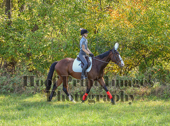 Born2Ride(10-13-24)0153
