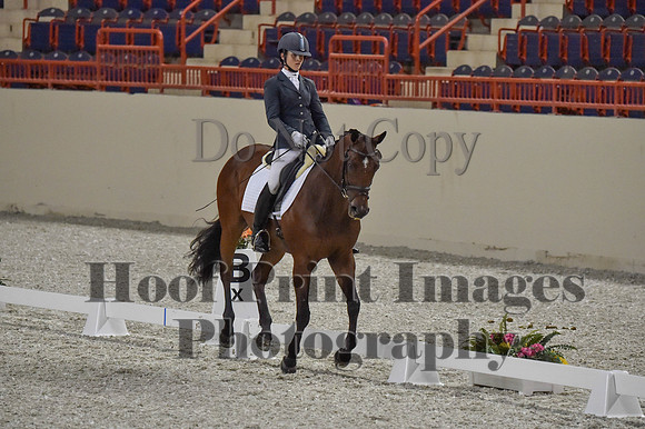 CWdressageI(8-20-16)0330