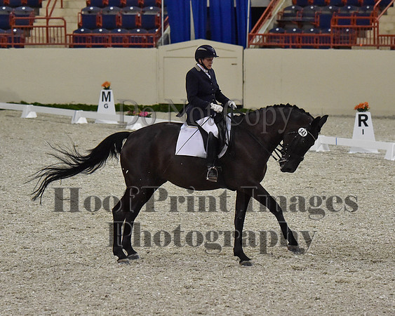 CWdressageII(8-21-16)0308