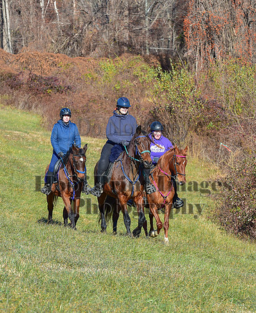 FairHillFallPC(11-30-24)0272