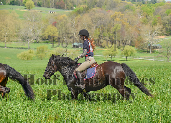 CheshireSpringPC1(4-28-24)0140