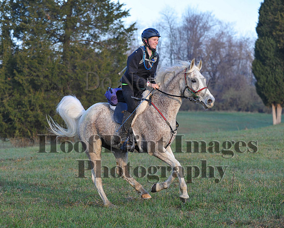 Foxcatcher(4-12-14)0376