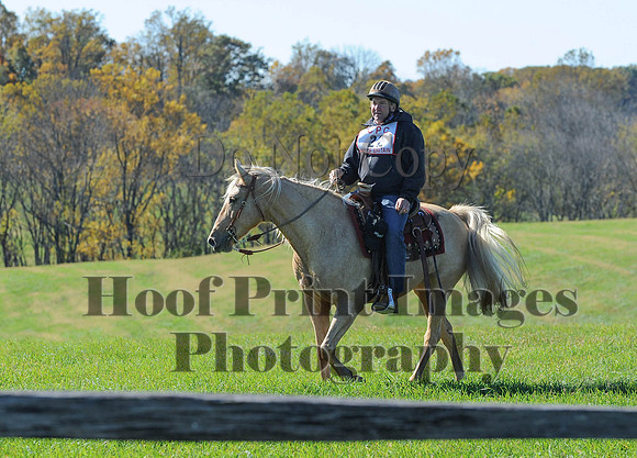 Cheshire(10-19-14)0233