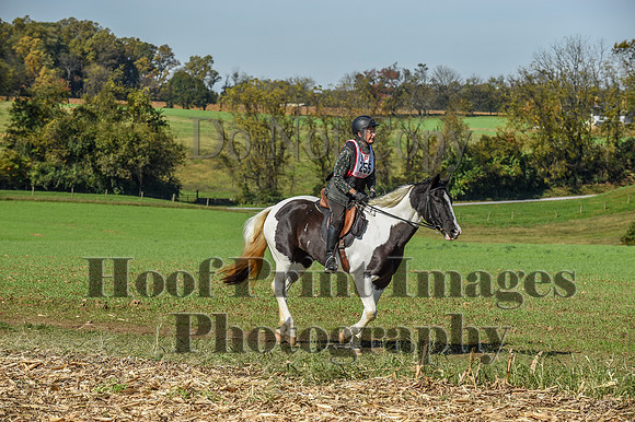CheshirePC(10-18-20)0560