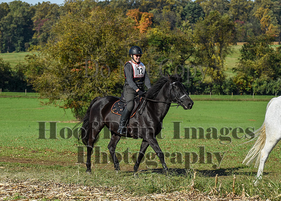 CheshirePC(10-18-20)0183