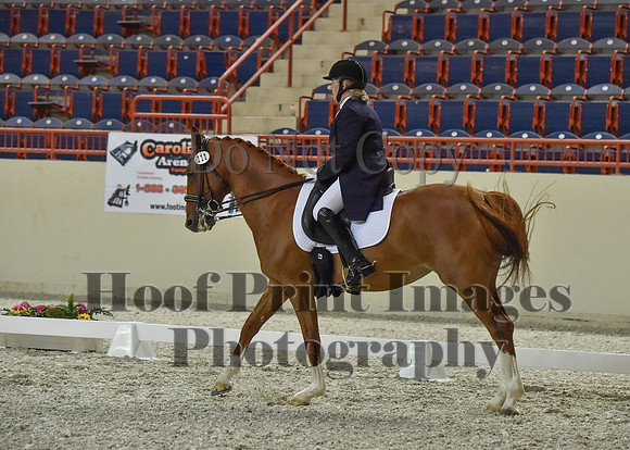 CWdressageI(8-20-16)1332