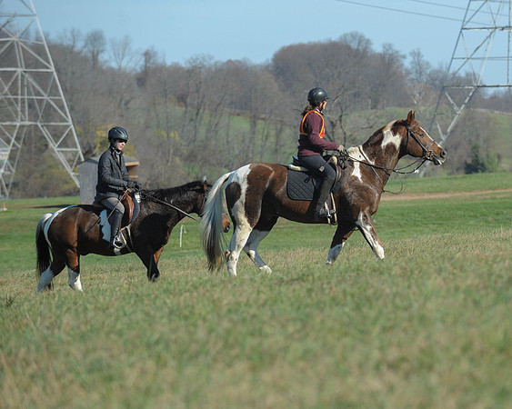 BHPC(11-15-15)0096